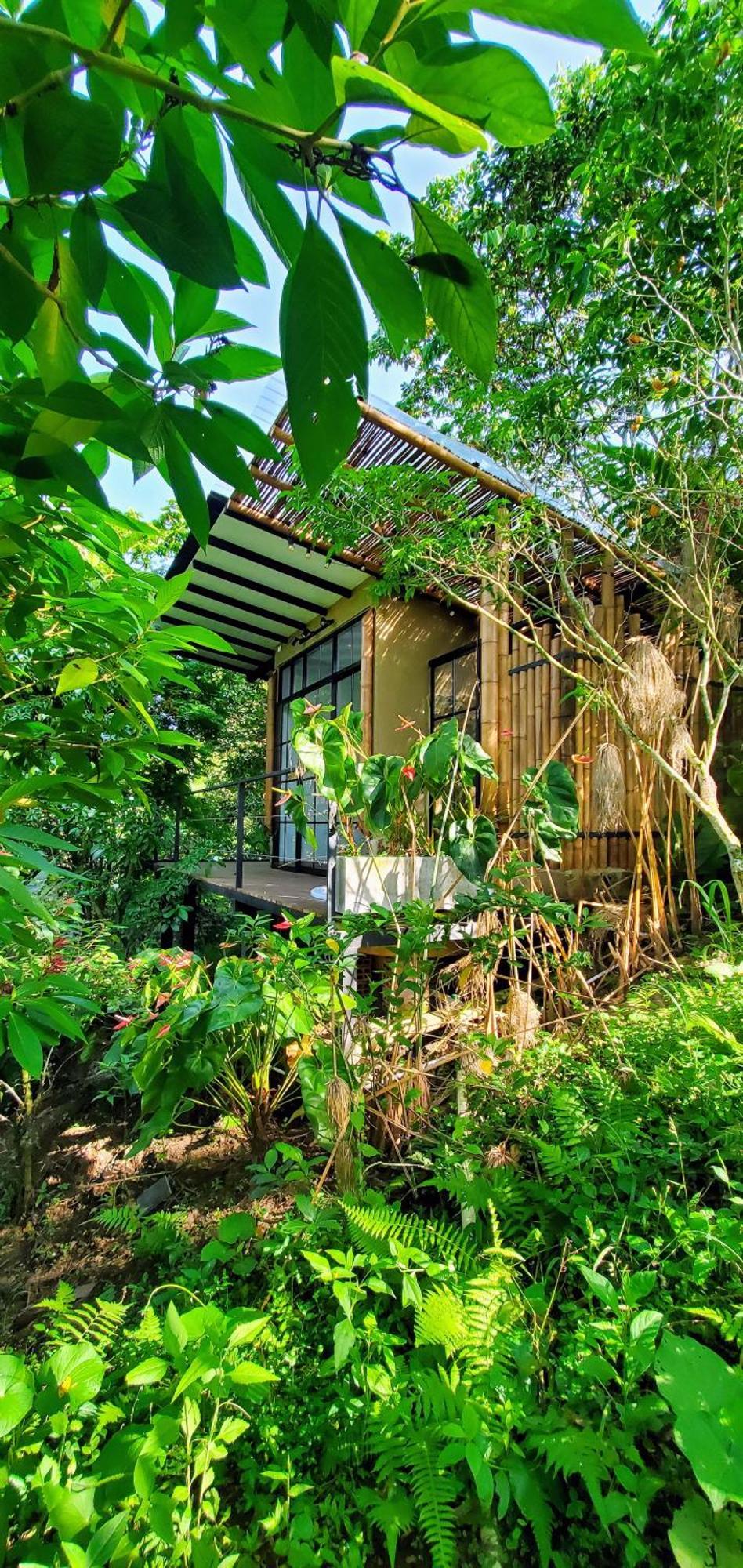 Ecohotel Alma Calarcá Buitenkant foto