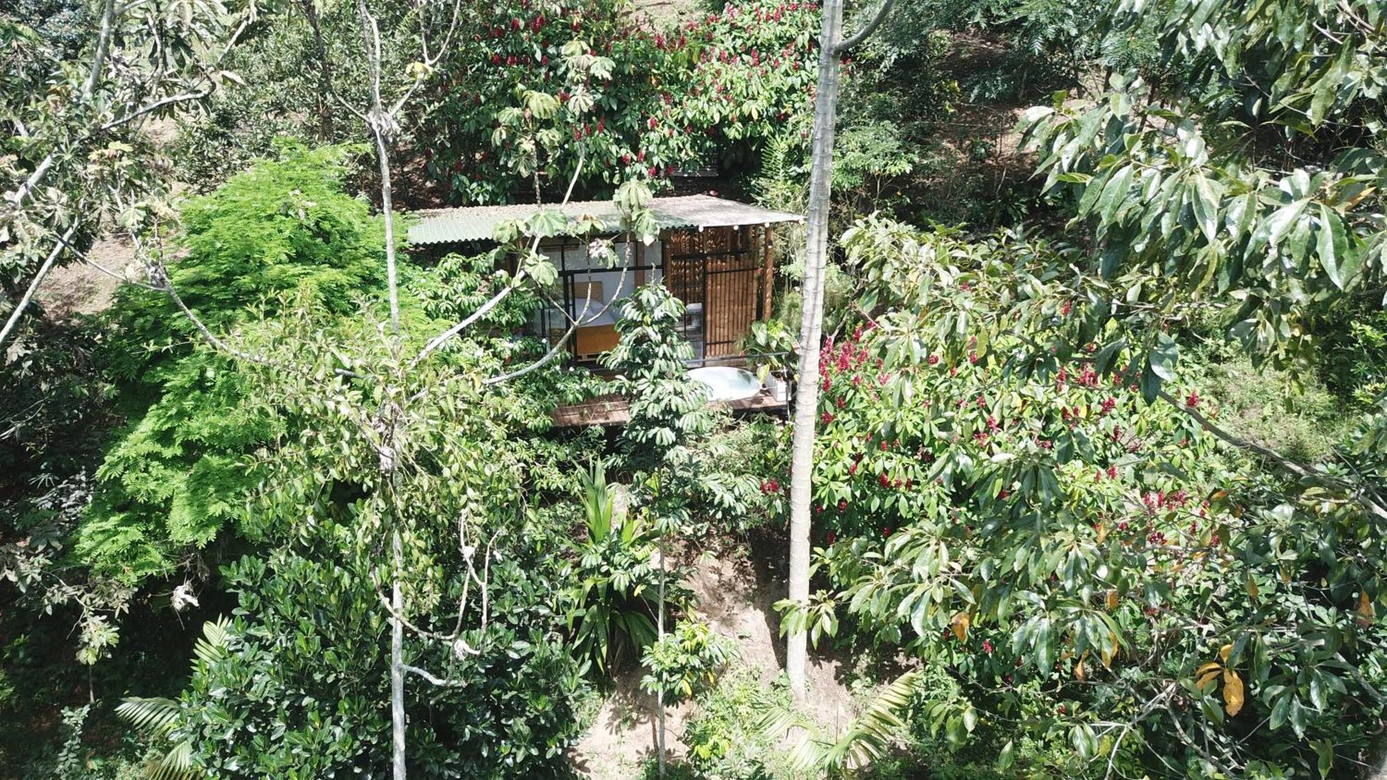 Ecohotel Alma Calarcá Buitenkant foto